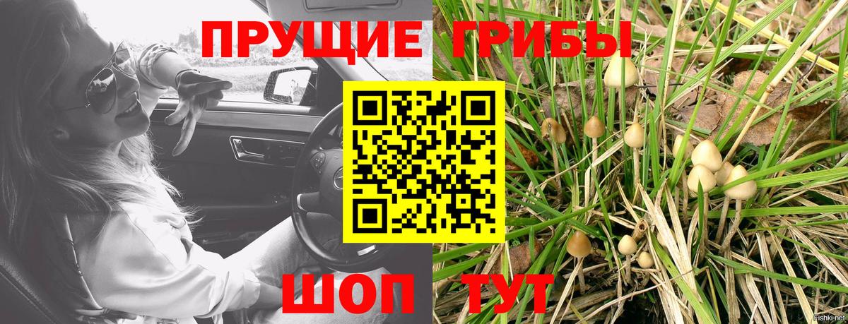 Псилоцибиновые грибы мицелий  Вход с VPN  Железногорск 